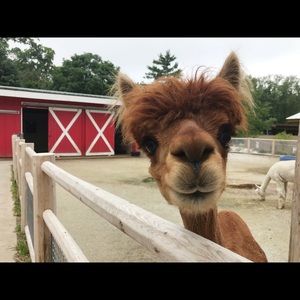 Meet your Posher, Jayme